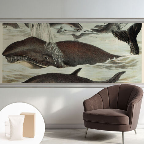Tapete Vliestapete mit Kleber modern Wohnzimmer - Wanddeko Schlafzimmer - Tapete mit Motiv Meeresbewohner 250x104 cm