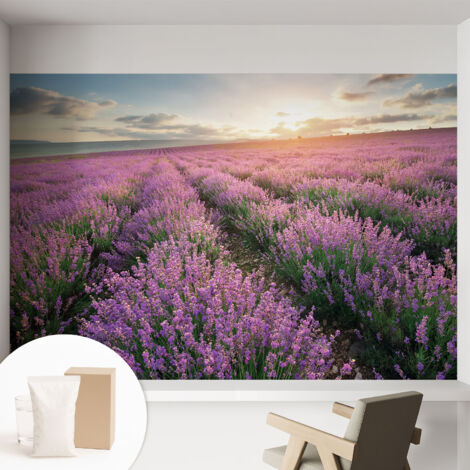 Tapete Vliestapete mit Kleber - modernes Design - Wohnungsdeko - geruchslos - langlebig Lavendelfelder 152x104 cm
