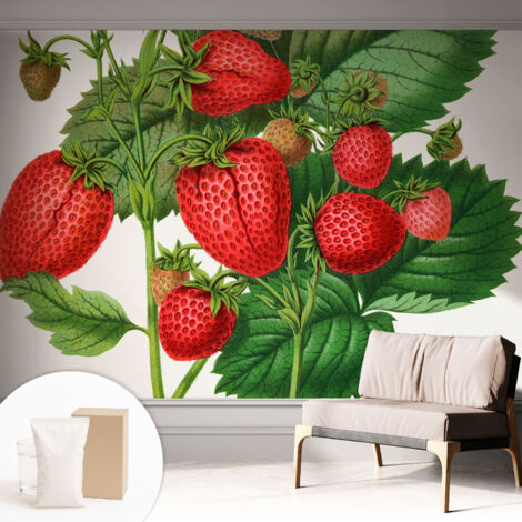 Tapete Vliestapete mit Kleber - modernes Design - Wohnungsdeko - geruchslos - langlebig Sommerfrüchte 312x219 cm