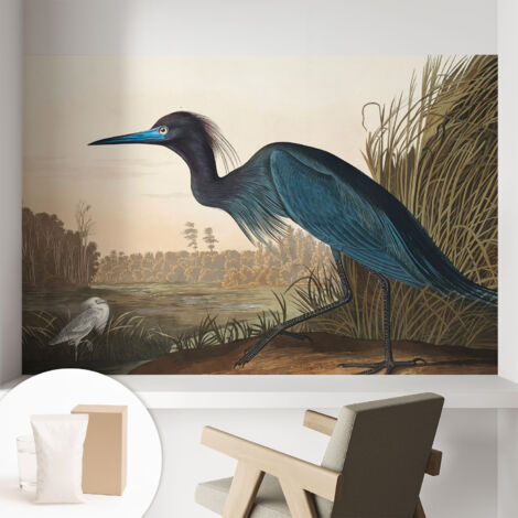 Tapete Vliestapete mit Kleber - modernes Design - Wohnungsdeko - geruchslos - langlebig Vögel am Wasser 104x70 cm