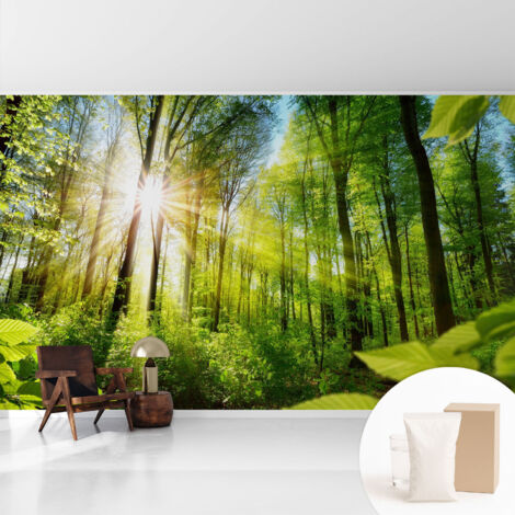 Tapete Vliestapete mit Kleber - modernes Design - Wohnungsdeko - geruchslos - langlebig Waldlicht 416x254 cm