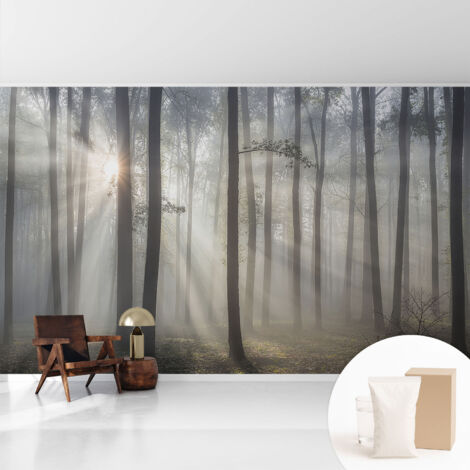 Tapete Vliestapete mit Kleber - trendige Wanddeko - elegant Fototapete für Wohnzimmer - Schlafzimmer Ätherischer Wald 416x254 cm