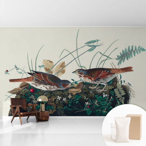 Tapete Vliestapete mit Kleber - trendige Wanddeko - elegant Fototapete für Wohnzimmer - Schlafzimmer Der Charme der Natur 416x254 cm