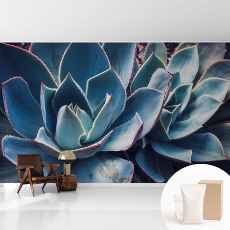 Tapete Vliestapete mit Kleber - trendige Wanddeko - elegant Fototapete für Wohnzimmer - Schlafzimmer Grüne Aloe 416x254 cm