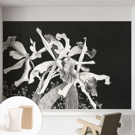 Tapete Vliestapete mit Kleber - trendige Wanddeko - elegant Fototapete für Wohnzimmer - Schlafzimmer Orchideenillustration 152x104 cm
