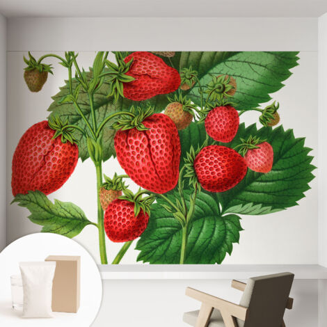 Tapete Vliestapete mit Kleber - trendige Wanddeko - elegant Fototapete für Wohnzimmer - Schlafzimmer Sommerfrüchte 152x104 cm