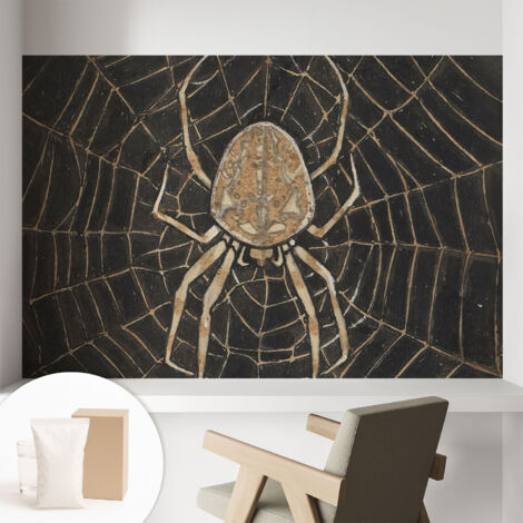 Tapete Vliestapete mit Kleber - trendige Wanddeko - elegant Fototapete für Wohnzimmer - Schlafzimmer Spinnennetz 104x70 cm