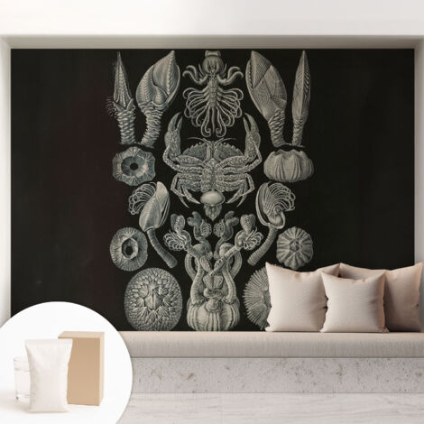 Tapete Vliestapete mit Kleber - trendige Wanddeko - elegant Fototapete für Wohnzimmer - Schlafzimmer Unterwasserformen 208x146 cm