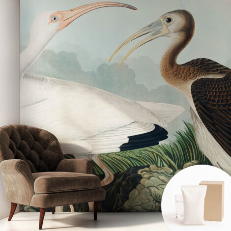 Tapete Vliestapete mit Kleber - trendige Wanddeko - elegant Fototapete für Wohnzimmer - Schlafzimmer Vogelpaar 250x250 cm