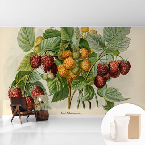 Tapete Vliestapete mit Kleber - Wanddekoration - Wandfolie - 3D Tapete Wand - Wohnungsdeko Klassische Himbeeren 416x254 cm