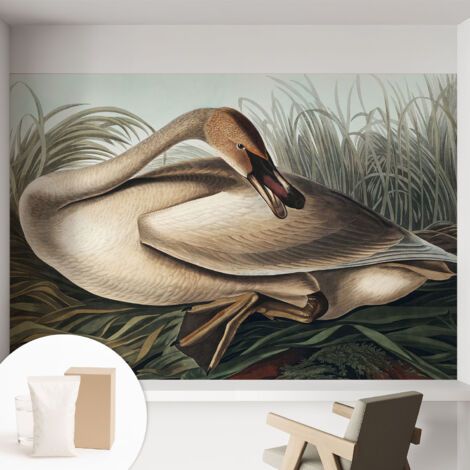 Tapete Vliestapete mit Kleber - Wanddekoration - Wandfolie - 3D Tapete Wand - Wohnungsdeko Natürlicher Vogel 152x104 cm