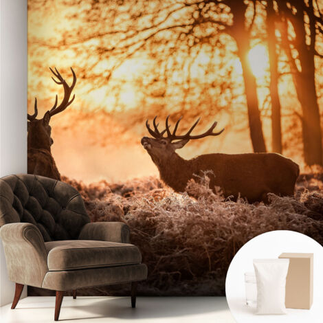 Tapete Vliestapete mit Kleber - Wanddekoration Wohnzimmer - Tapete Schlafzimmer Rehe am Morgen 250x250 cm