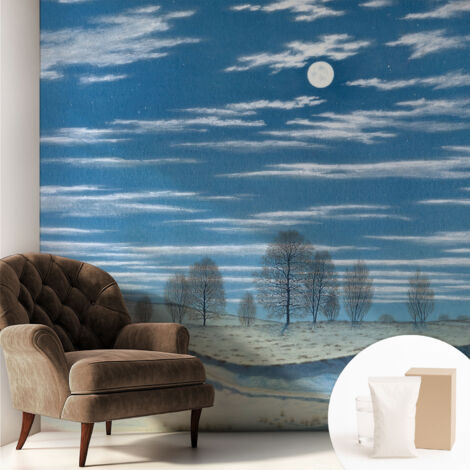 Tapete Vliestapete mit Kleber - Wanddekoration Wohnzimmer - Tapete Schlafzimmer Winterlandschaft 250x250 cm