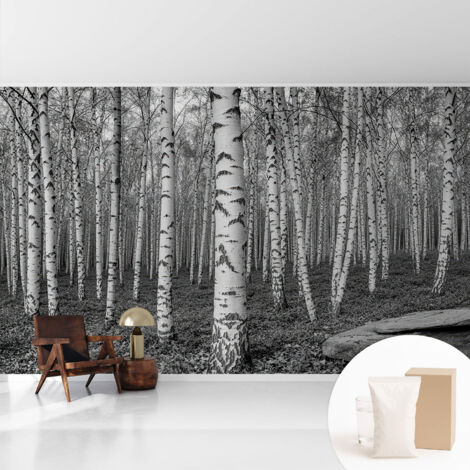 Tapete Vliestapete mit Kleber - Wandgestaltung - Tapete Wohnzimmer - Flur Eingangsbereich Birkenwald 416x254 cm