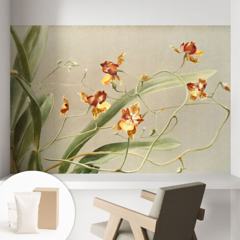 Tapete Vliestapete mit Kleber - Wandgestaltung - Tapete Wohnzimmer - Flur Eingangsbereich Klassische Orchideen 104x70 cm