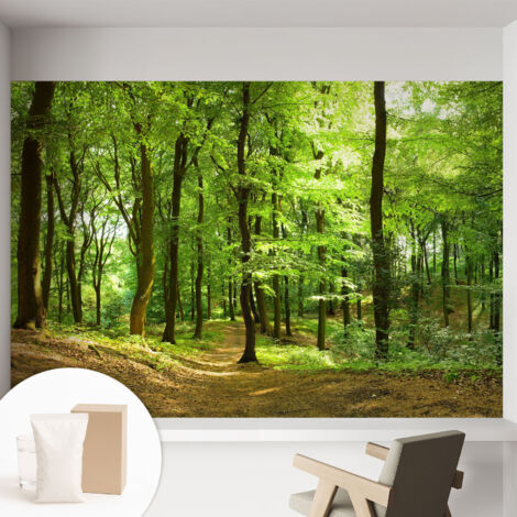 Tapete Vliestapete mit Kleber - Wandgestaltung - Tapete Wohnzimmer - Flur Eingangsbereich Naturpfad 152x104 cm