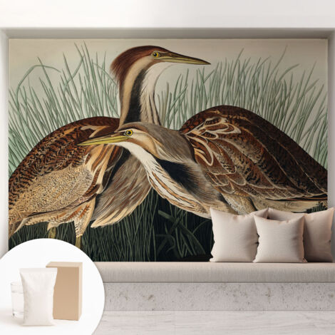 Tapete Vliestapete mit Kleber Wandtapete modern - Tapete mit Motiv - Tapete Schlafzimmer Realistische Vögel 208x146 cm