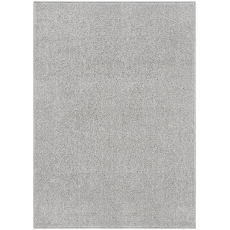 Vidaxl - Tapis à poils courts 120x170 cm Gris clair