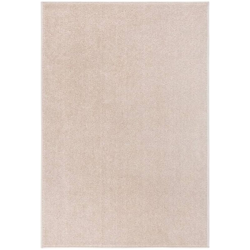 Vidaxl - Tapis à poils courts 160x230 cm Beige foncé
