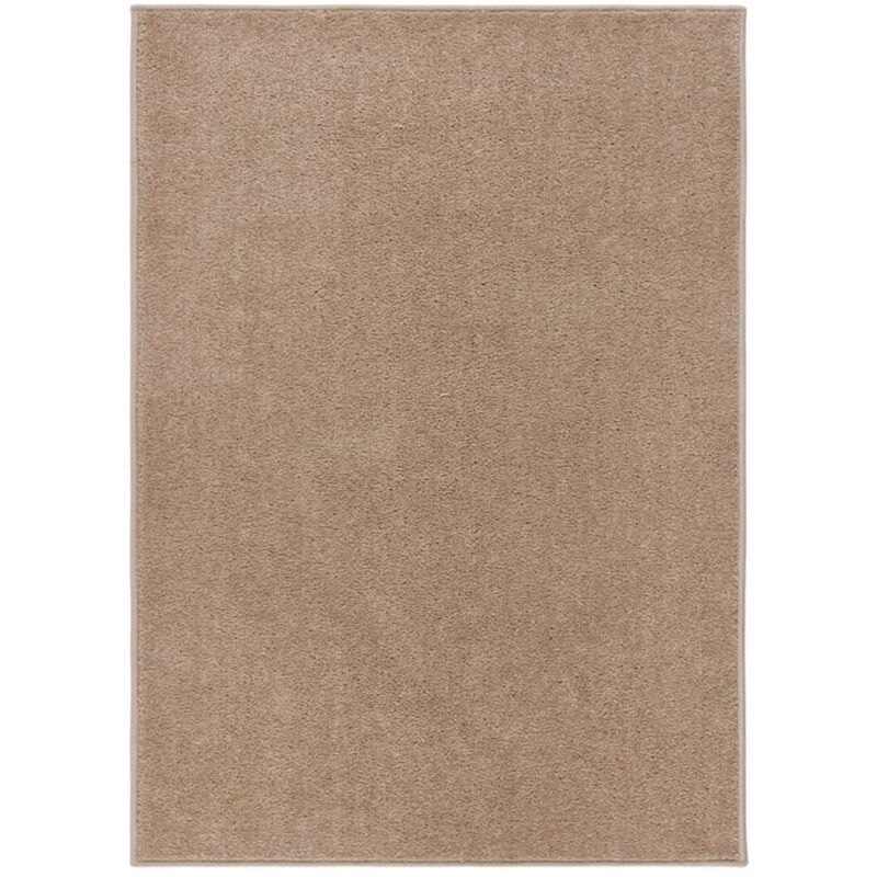 Tapis à poils courts 120x170 cm Marron