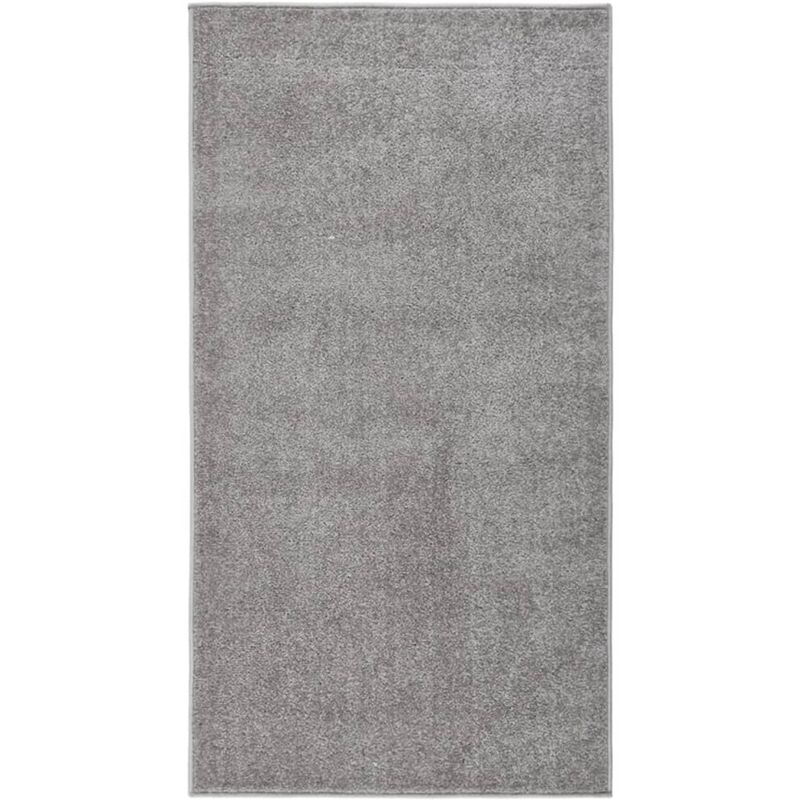 Vidaxl - Tapis à poils courts 80x150 cm Gris