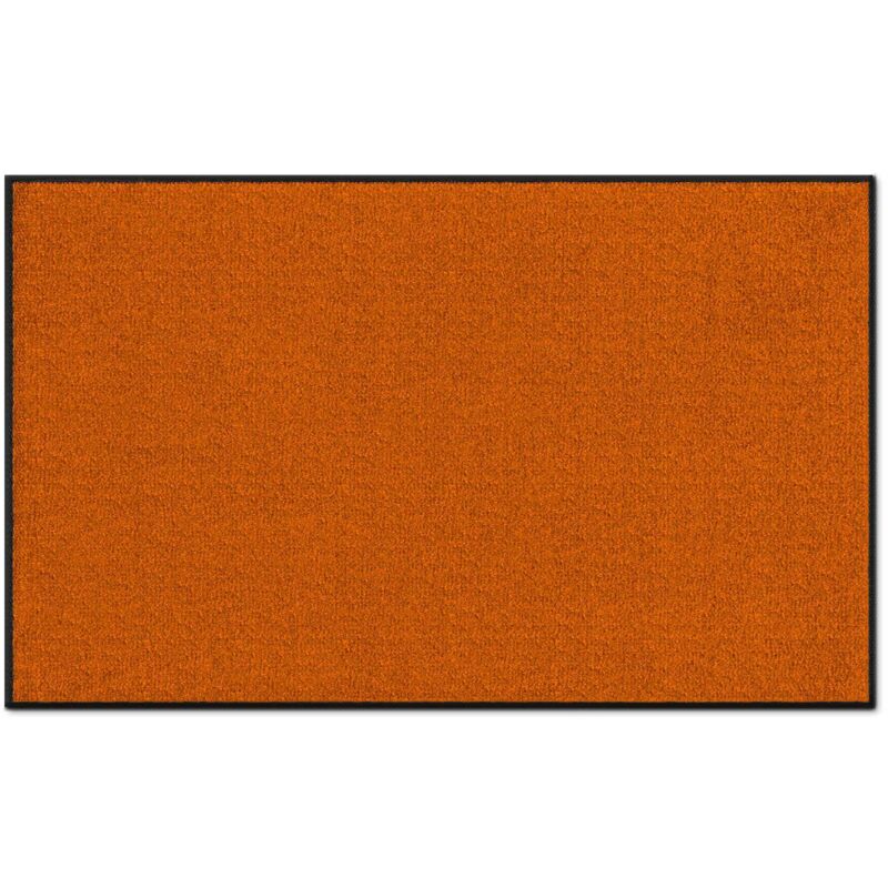 Tapis de Porte Paillasson d'entrée Joy Couleur terre 60 x 180 cm
