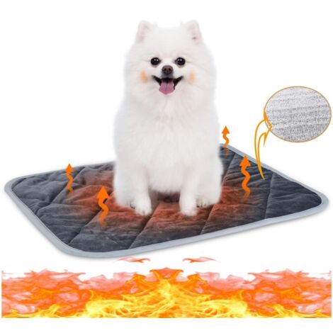 Tapis Auto - chauffant pour chat en chien