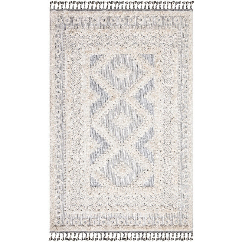 Tapis Salon Bohème Chic Franges Tressées Crème et Gris (160x230cm)
