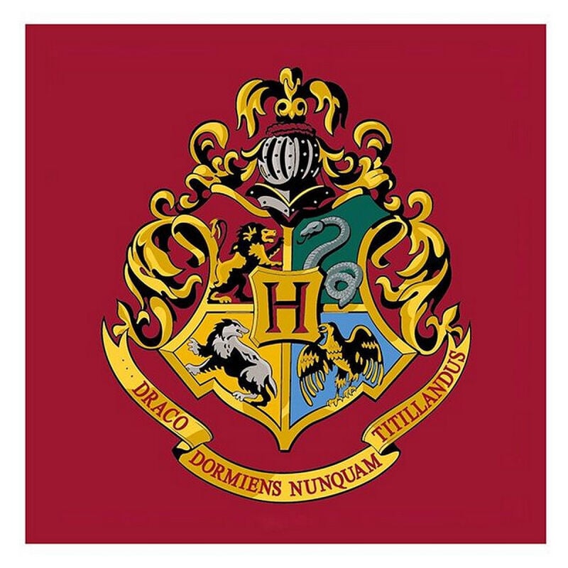 Argofield - Tapis Carré Harry Potter Logo Poudlard - 80 x 80 cm