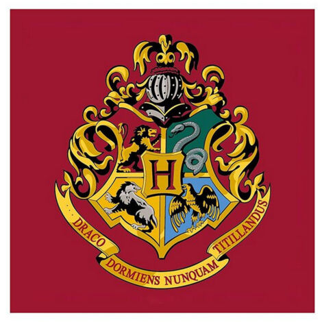 Tapis Carré Harry Potter Logo Poudlard - 80 x 80 cm