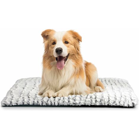 1pc Tapis De Dressage À 4 Couches Lavable Pour Chien, Réutilisable