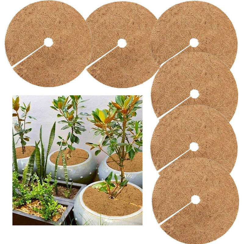 Tapis Coco Plante, Disque de Paillage Coco, Protection d'hiver pour Plantes en Pot, Protéger Les Racines des Plantes en Pot du Gel 30cm 6Pcs