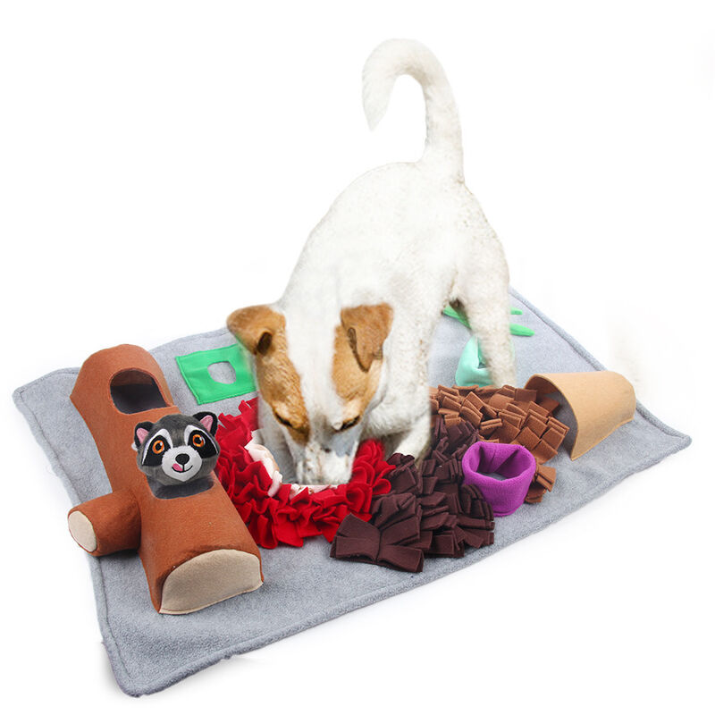Tapis d'alimentation pour chien avec tapis de dressage de chien jouet mignon (raton laveur)