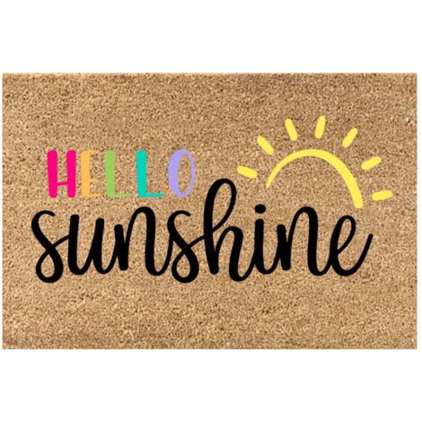 Tapis de bienvenue estival, 40 x 60 cm, tapis de bain ultra-absorbant, tapis d'entrée lavable, tapis de sol pour salon et cuisine, décoration intérieure/extérieure