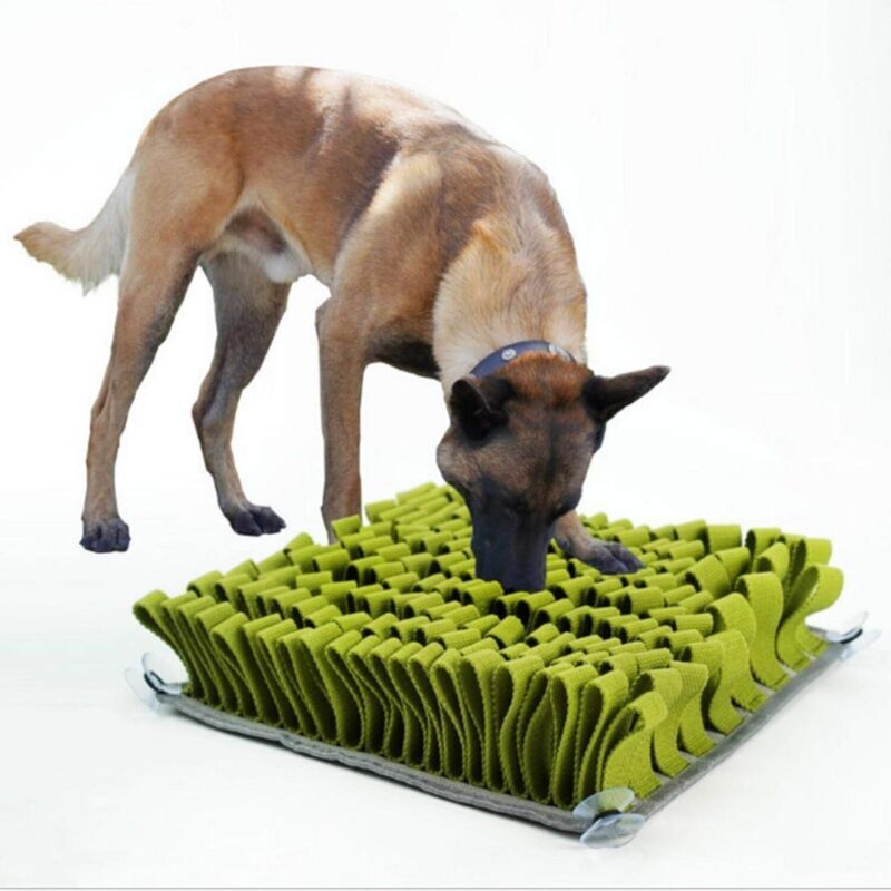 Tapis De Fouille Pour Chien, Dog Snuffle Mat, Tapis De Formation De Jouet De Puzzle Pour Animaux De Compagnie