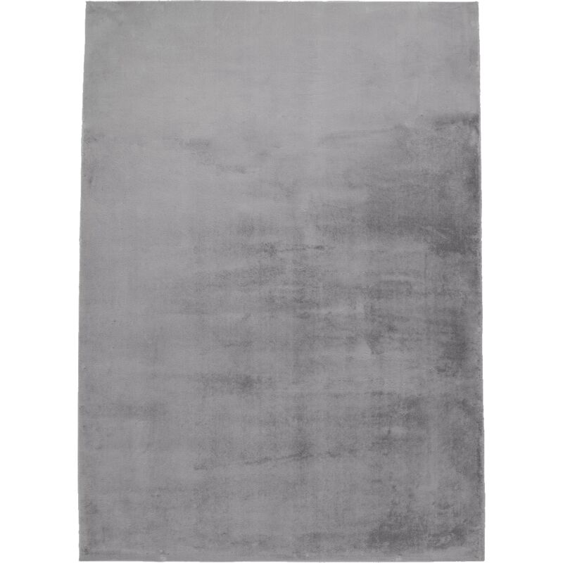 Tapis Salon Fourrure Poils Longs Velour Moelleux UNICOLORE (Gris Argent - 160x230cm)
