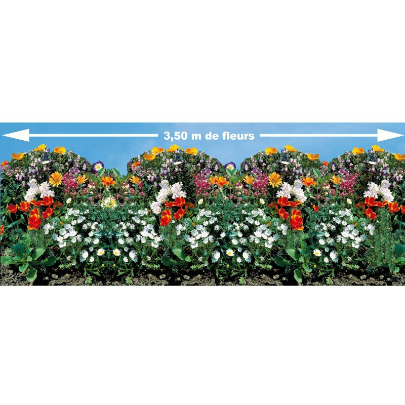 Tapis de graines pour bordures fleuries - 21 - Willemse - Multicolore