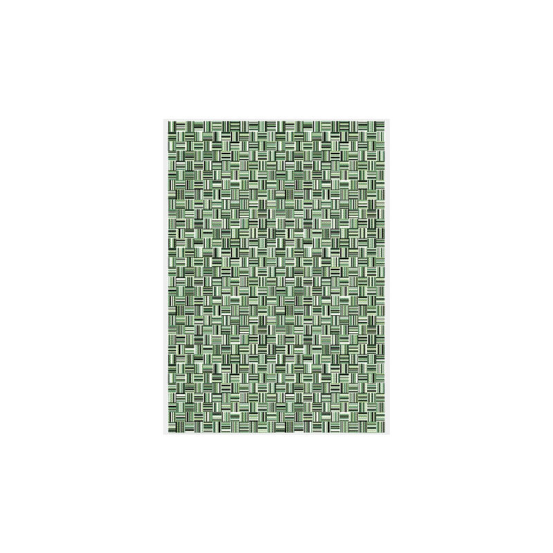 Décoweb - Tapis de jardin - Broc Arty - Tissage vert - 200 x 290 cm