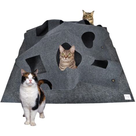 Tapis de Jeu pour Chat