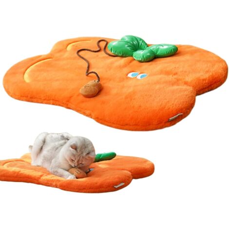 Tapis De Lit Pour Chat Couverture de Sol Orange pour Animaux Tapis Lavable