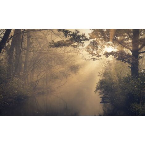 Tapis de radiateur Cache radiateur Décoration salon Forêt dans le brouillard 60x100