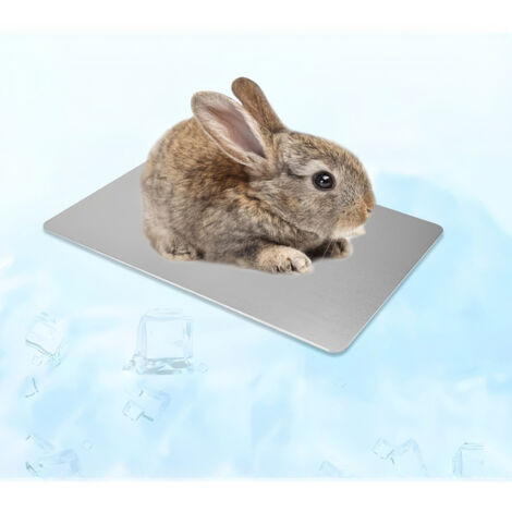 Tapis de refroidissement d'été  pour petits animaux