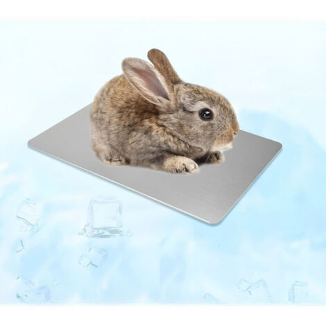 Tapis de refroidissement d'été pour petits animaux