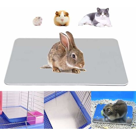 Tapis de refroidissement pour lapin, coussin de glace de refroidissement pour hamster pour animaux de compagnie en aluminium pour lapin, chiot, chaton, cobaye, chinchilla et autres petits animaux, lit de glace pour plaque de refroidissement pour animaux d