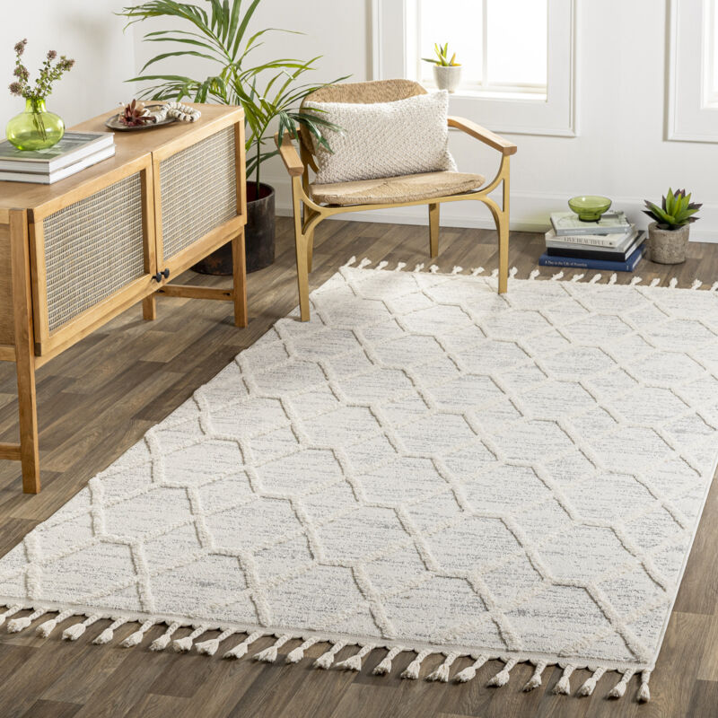 Surya - Tapis Scandinave Bohème Ivoire/Gris 160x213 cm
