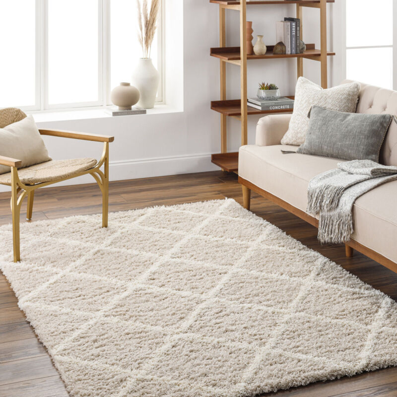 Surya - Tapis Shaggy Scandinave Bohème Blanc/Beige 160x220 cm