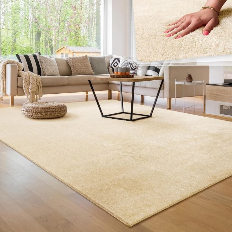 Tapis de Salon Unicolore Lavable Pile Courte et Douce, Dimension:120x200 cm, Couleur:Beige