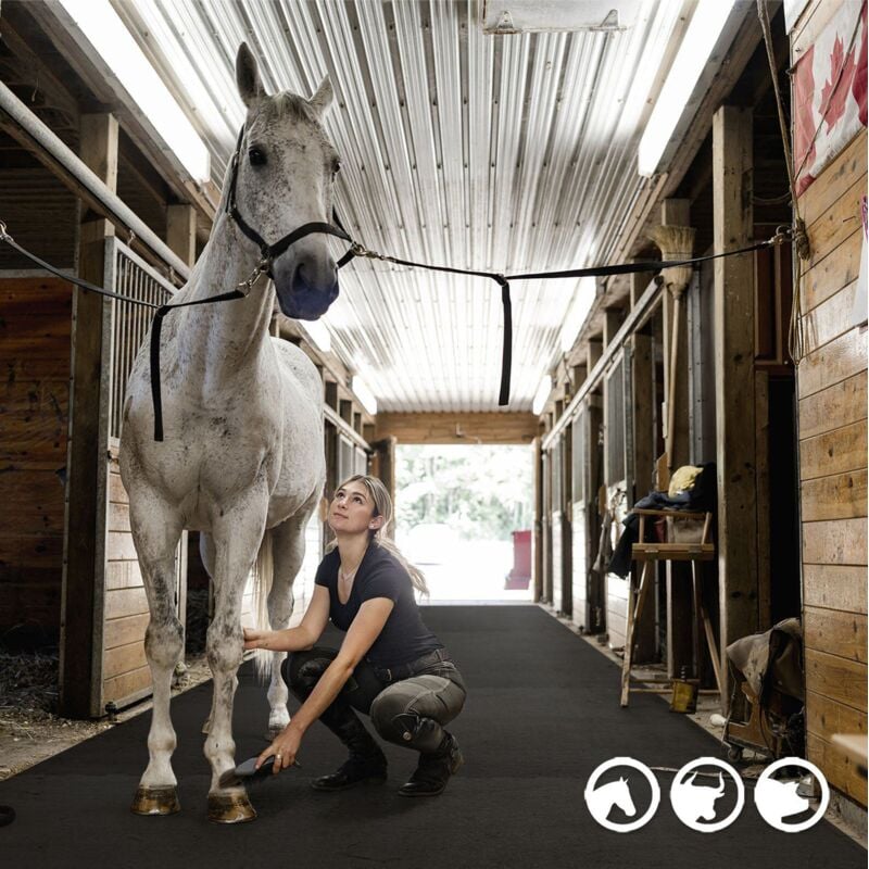 Tapis d'écurie puzzle en caoutchouc Pontiac Sol d'écurie 120 x 180 cm Interlocking sur quatre côtés