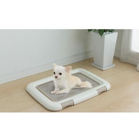 Tapis éducateur (alaise) pour chiots à Lyon, dimensions 60 x 60 cm, 10  pièces