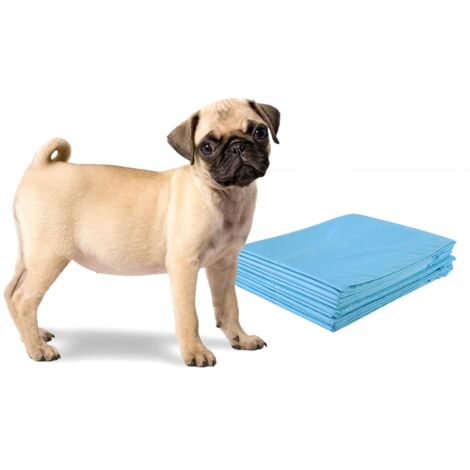Tapis éducateurs pour Chiot 5 Couches Lot de 200 Tapis Absorant pour Animaux 60x60CM DESIGN IN